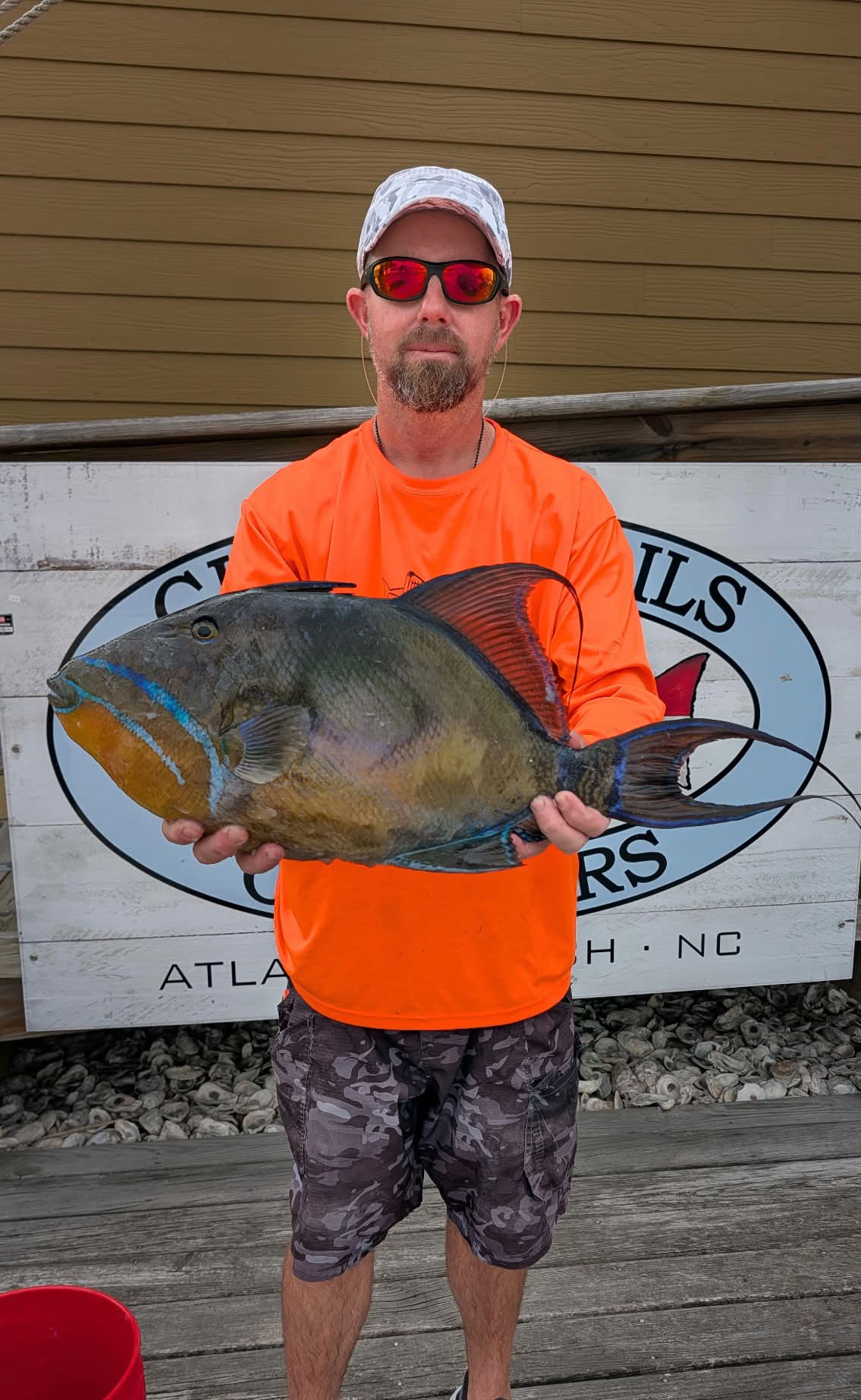 8.85lb QUEEN TRIGGERFISH coming to the scales, such a cool looking