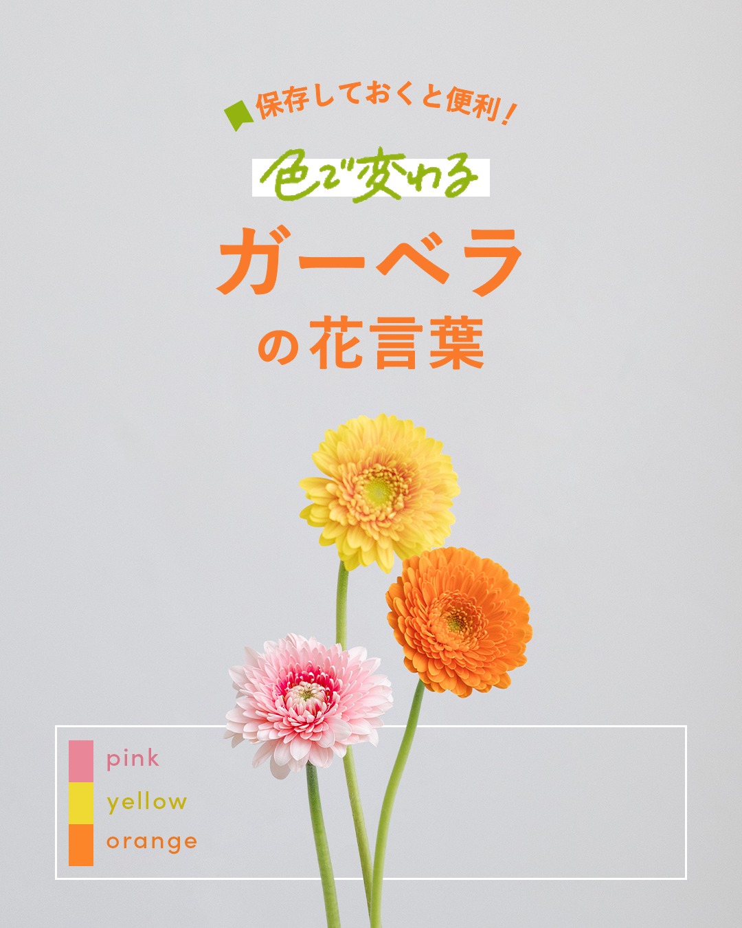 花キューピット | Shinagawa-ku Tokyo