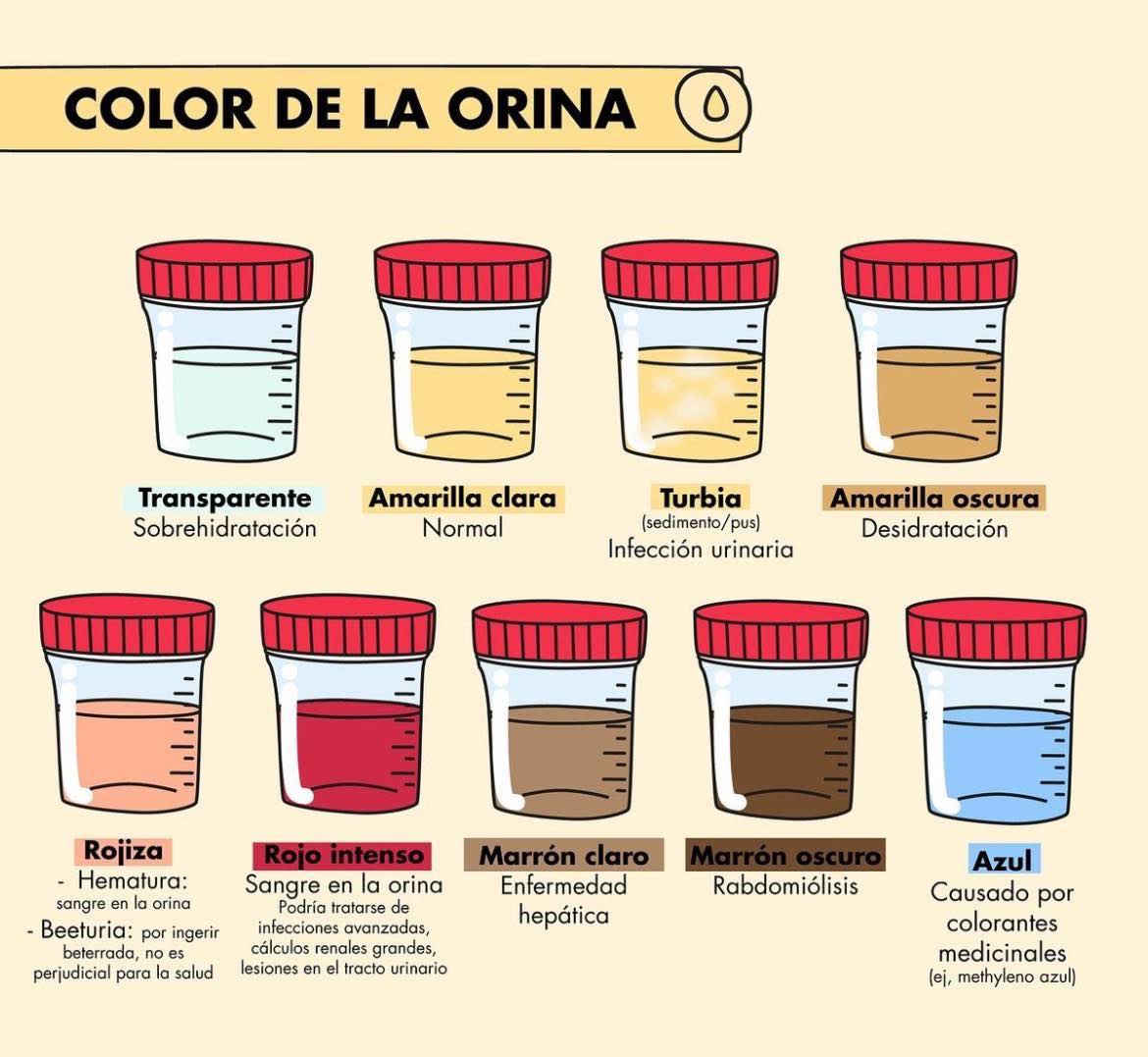 Labo... - Laboratorio y Banco de Sangre Alvarez Quetzaltenango