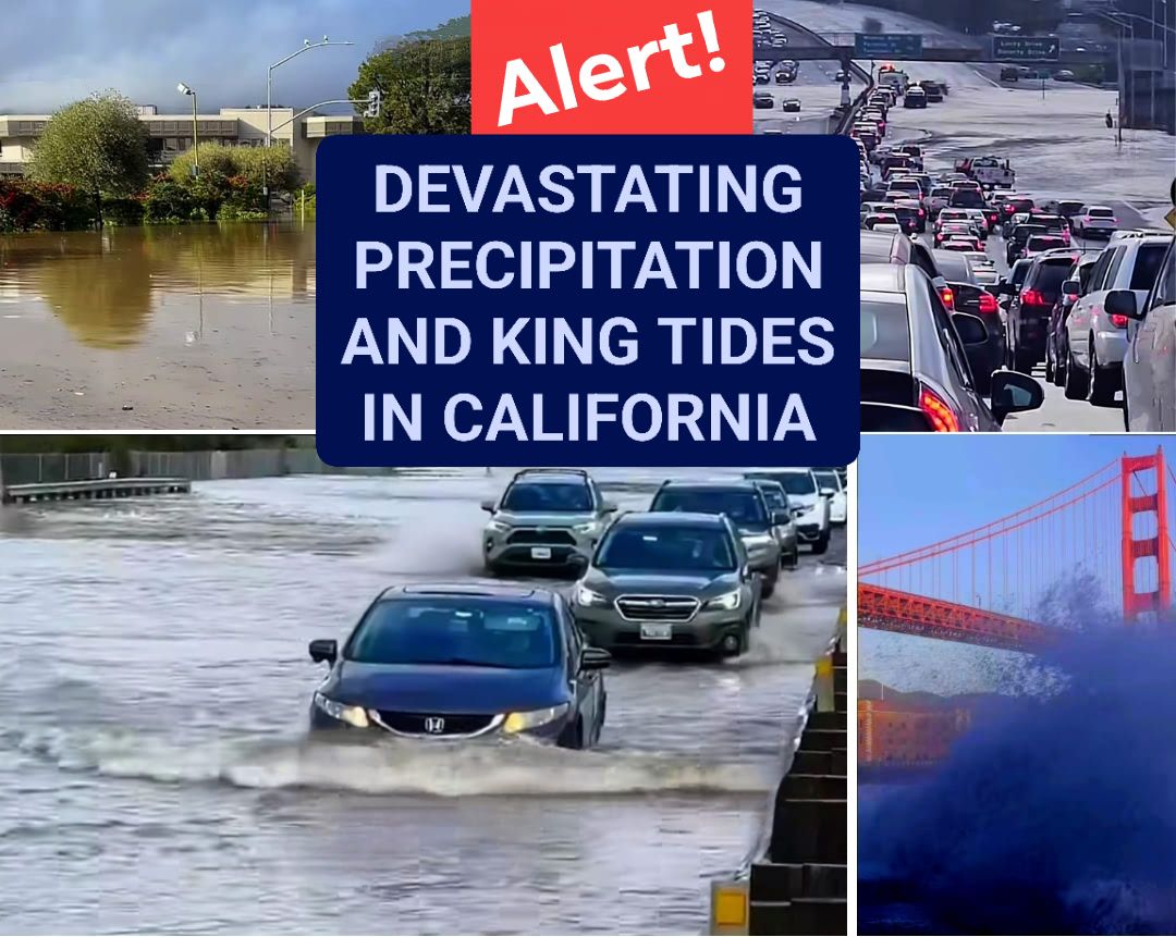 Latin - LIFE-THREATENING KING TIDES AND HEAVY RAINS STOP TRAFFIC IN ...