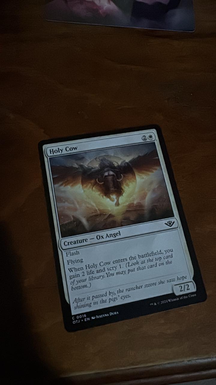 holy cow mtg card 401 Games Canada You may put that card on the bottom.) Holy Cow MTG - Outlaws