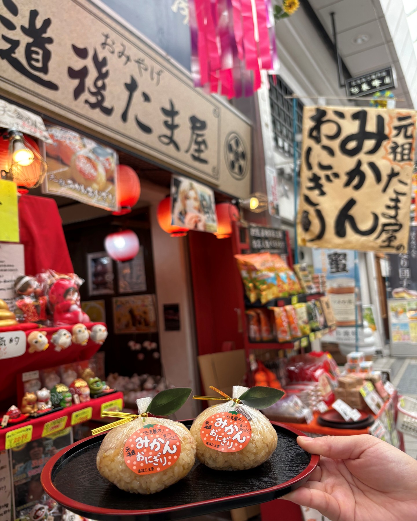 🌸道後温泉別館 飛鳥乃湯泉で「砥部焼ひなまつり展2026」開催中