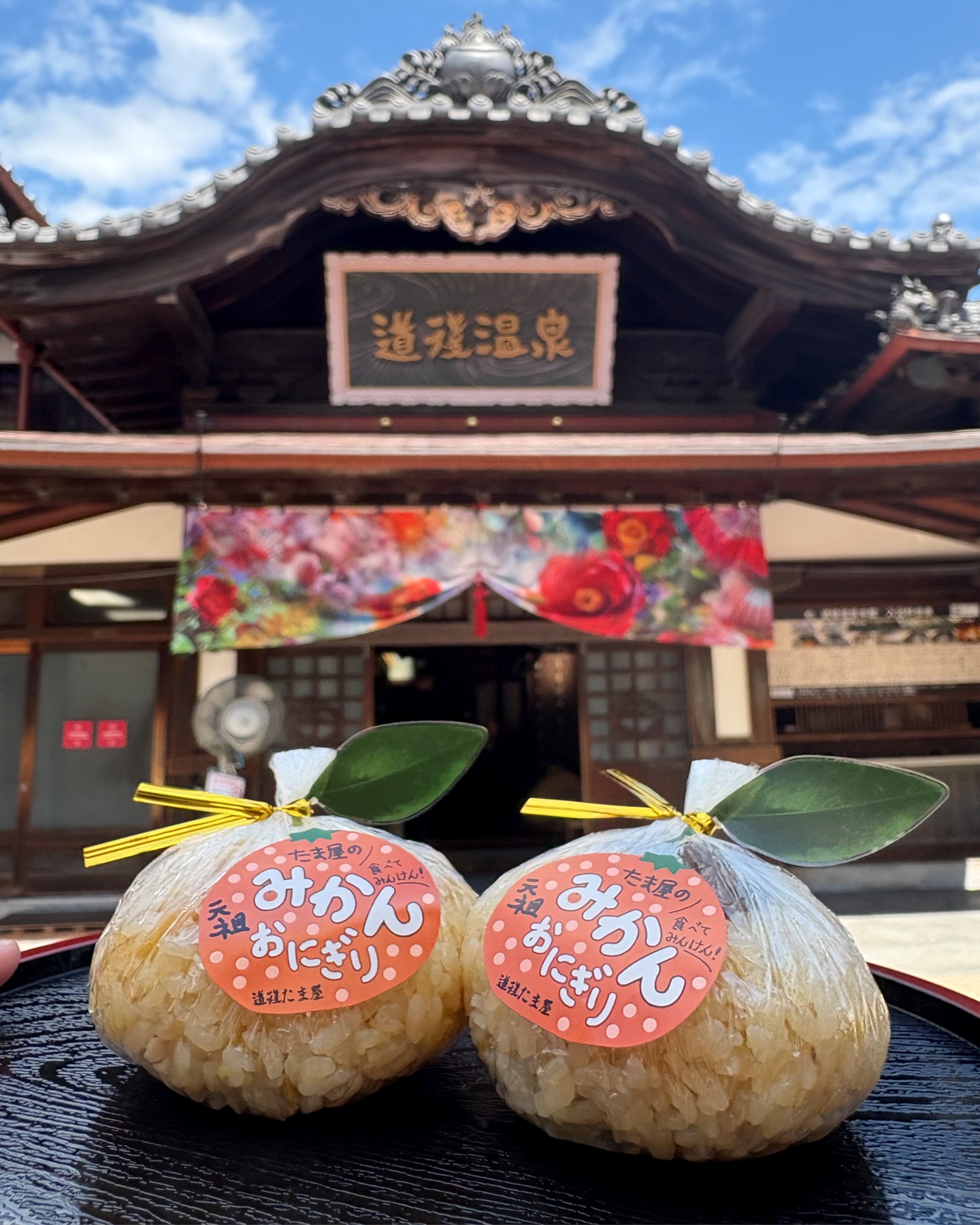 🌸道後温泉別館 飛鳥乃湯泉で「砥部焼ひなまつり展2026」開催中