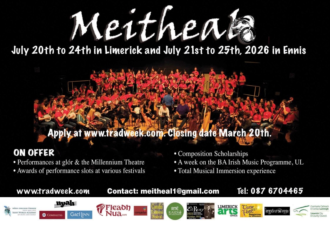 Meitheal Ennis and... - Irish Music Magazine official | Facebook