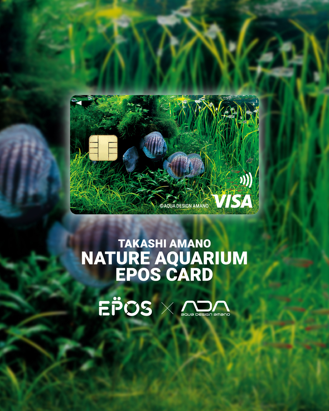 ADA Nature Aquarium - Aqua Design Amano Co., Ltd (@AquaDesignAmano