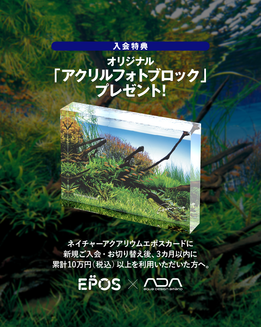 ADA - . . 2色のラインナップで新登場。 DOOA システムスタンド 35