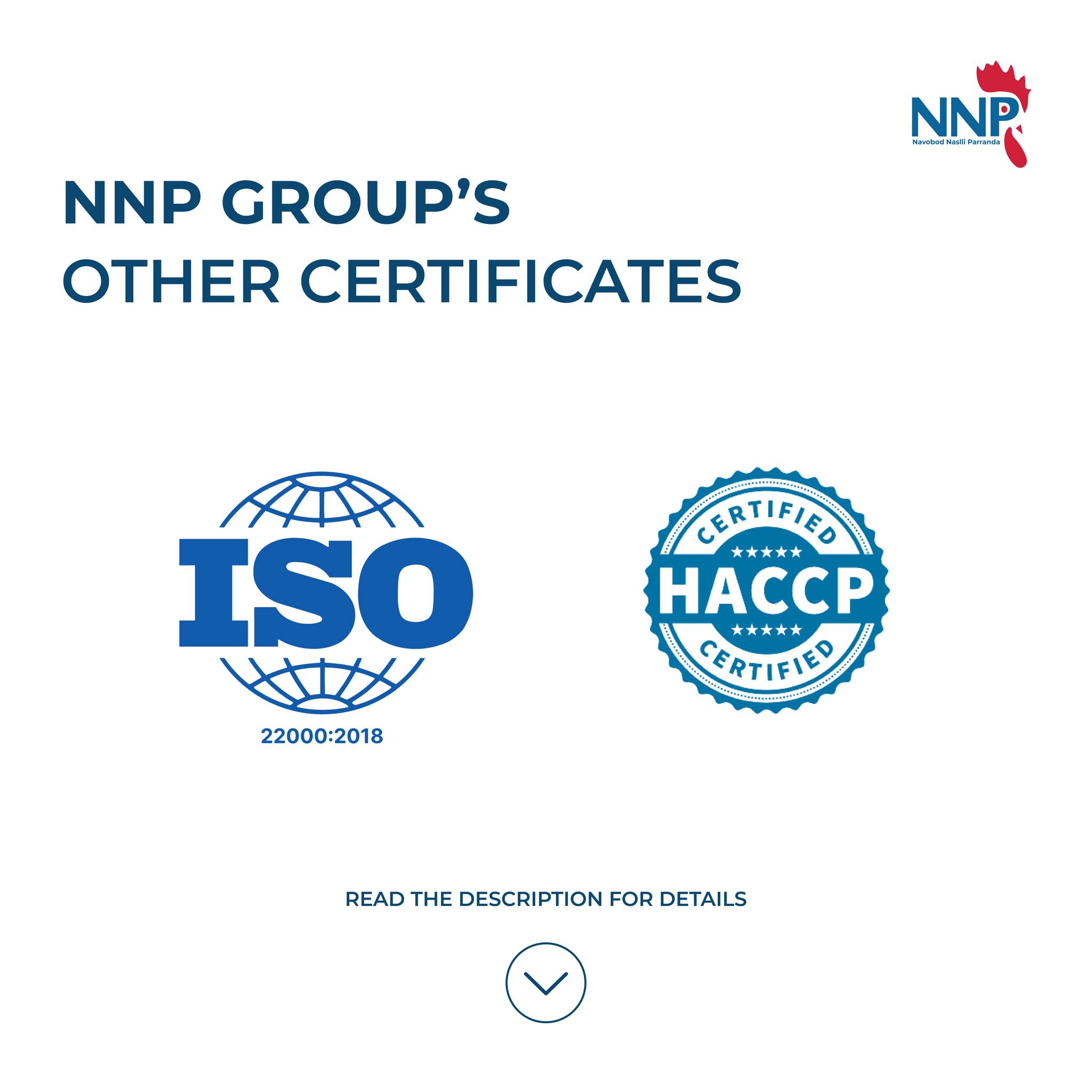 NNP Group