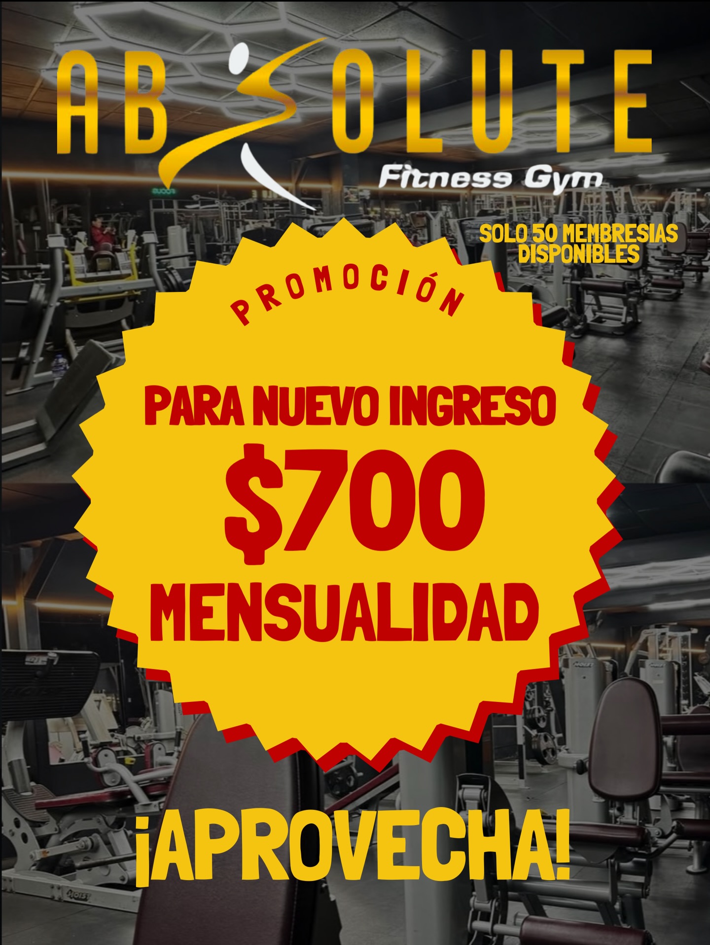 Absolute Fitness Gym added a new... - Absolute Fitness Gym