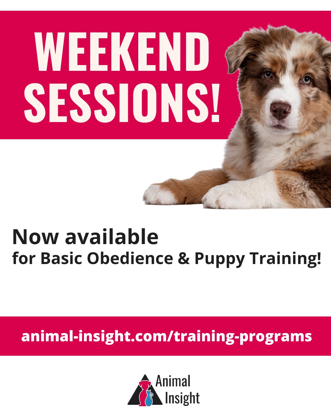 Animal Insight LLC