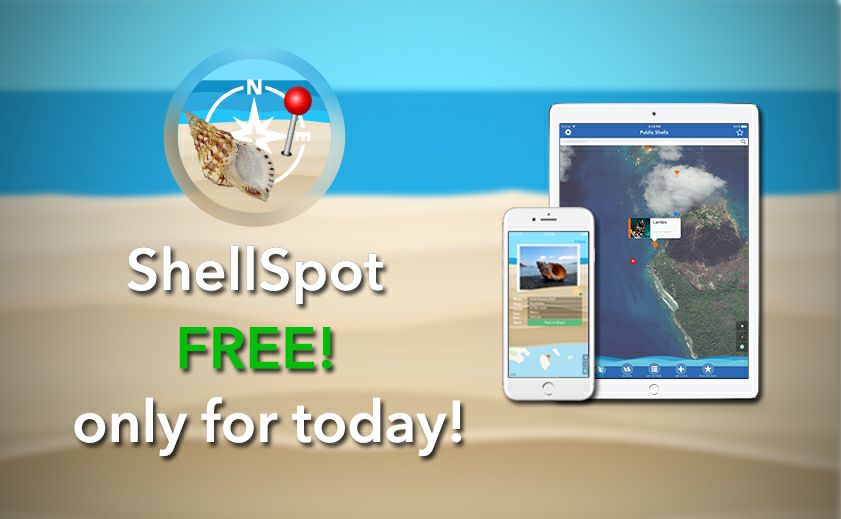 ShellSpot