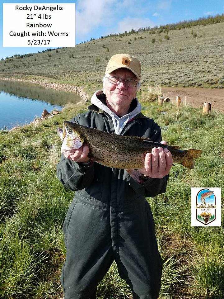 cr5 cadence fishing rod with cr8 reel Amazon.com : Spinning Rods | 30 Ton Carbon | Fuji Seat | Stainless Steel Guides SiC Inserts Centaur 212SPG-75S Combat Arm Width=8mm Model:CB8000.B2