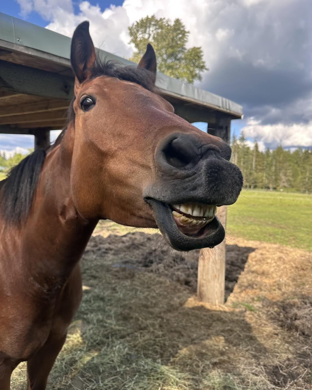 Snika Ranch | Lake Stevens WA