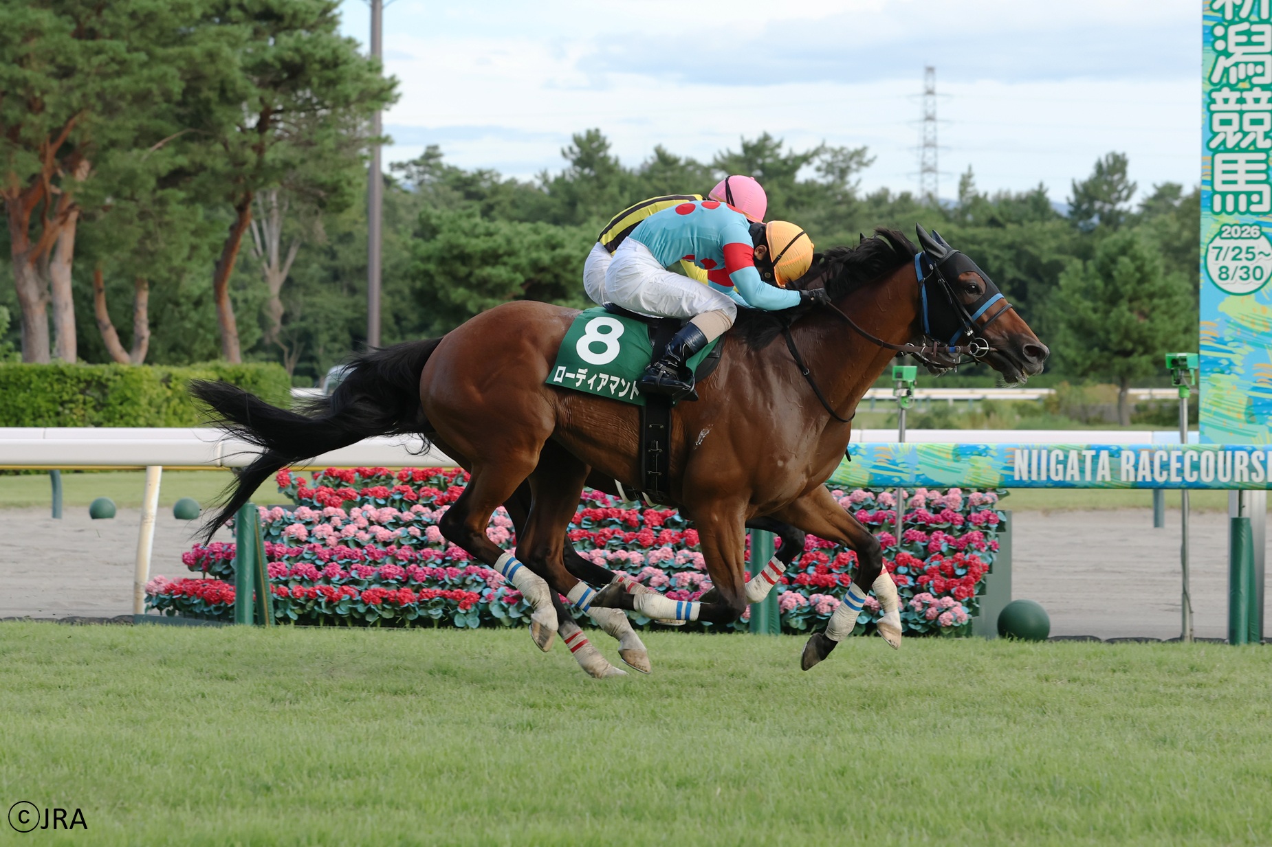 1999年の札幌記念（GII）を優勝したのは芦毛のセイウンスカイ。 単勝