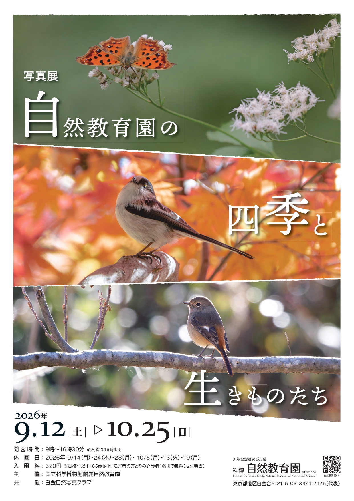 国立科学博物館 National - 【科博のネズミ①】 上野本館は、本日2日