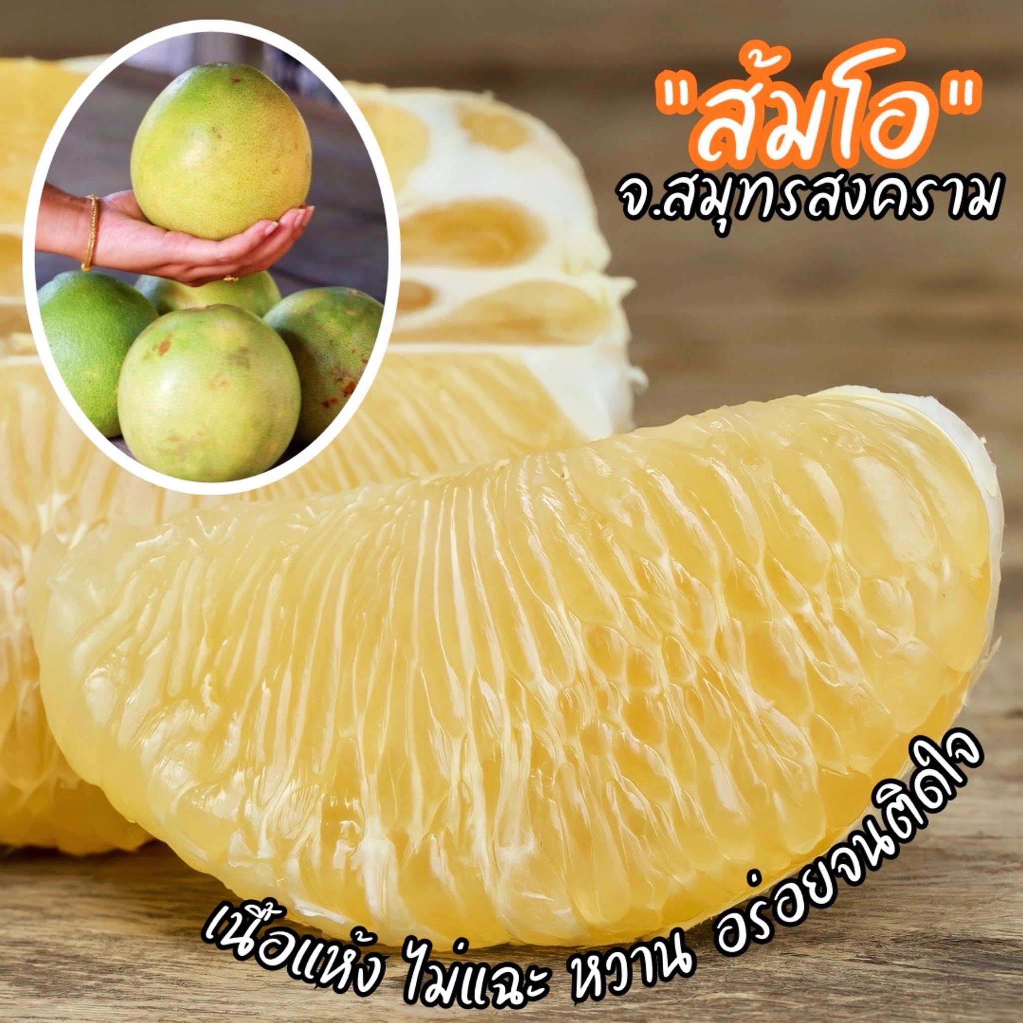 🍐ส้มโอขาวใหญ่อัมพวา ตัดใหม่... - ส้มโออัมพวา สวน-กลม-กิ๊ก | Facebook