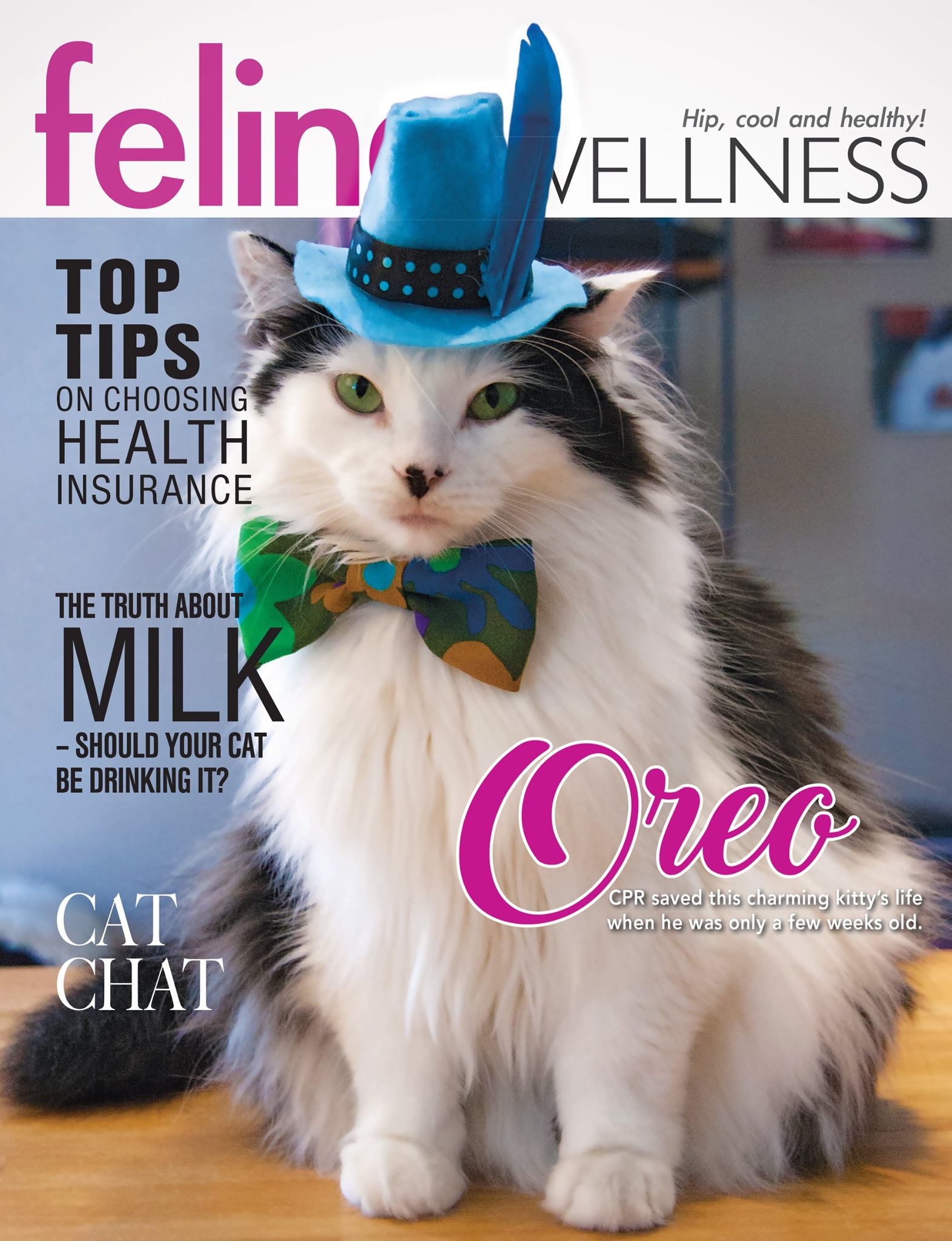 The Oreo Cat - Check out The Oreo Cat in the holiday issue...