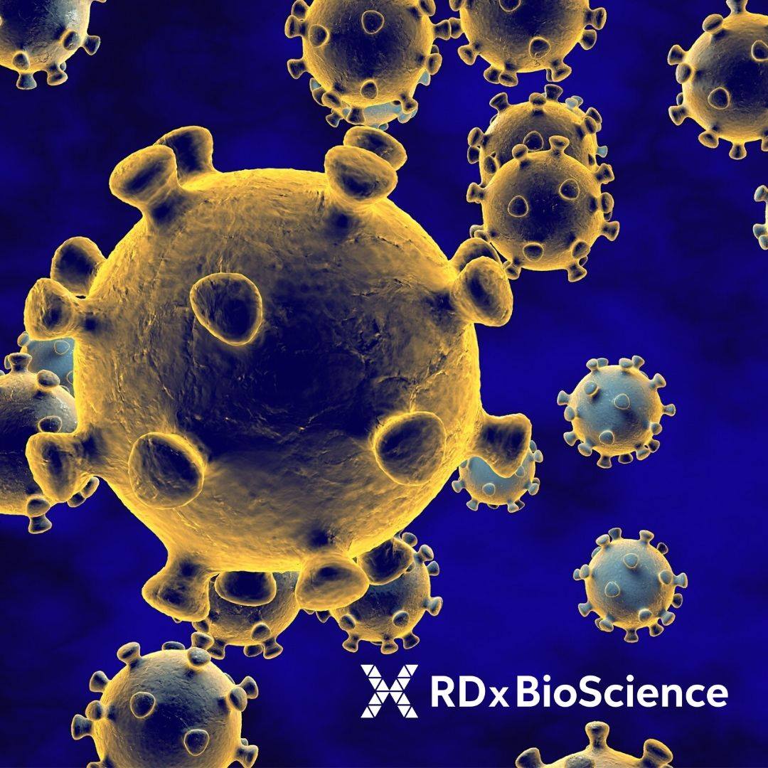 RDx BioScience | Kenilworth NJ