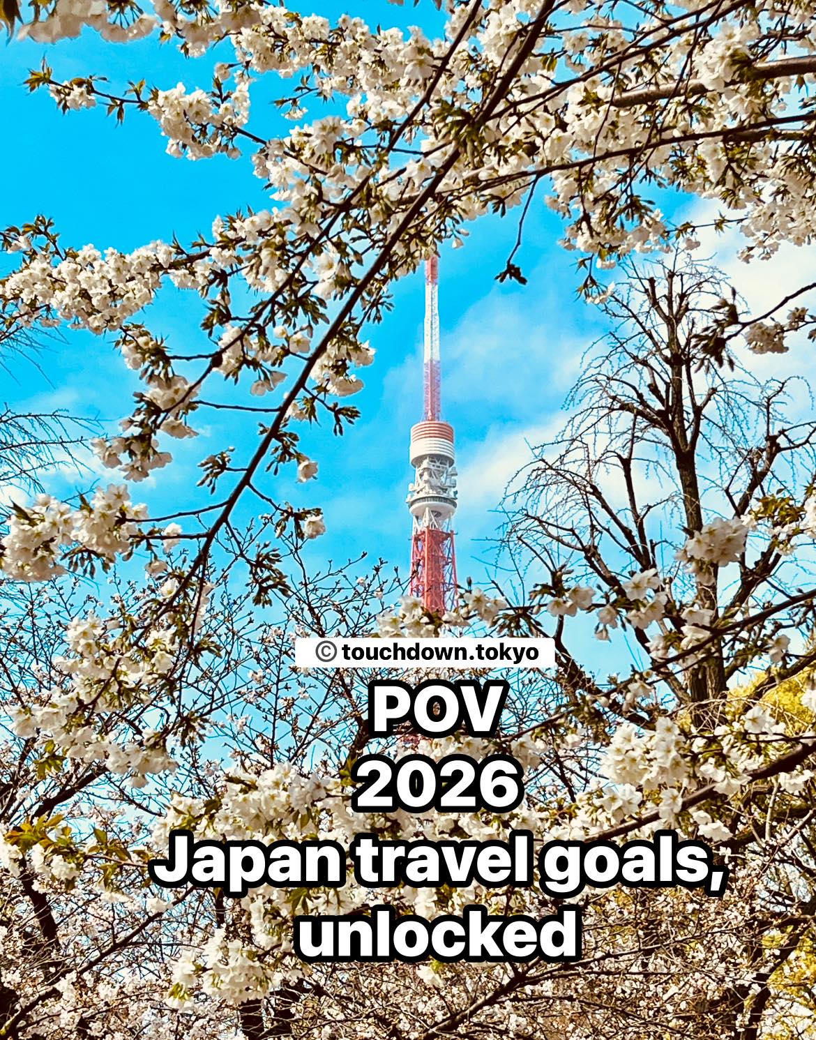 Touchdown - POV: 2026 Japan travel goals, unlocked #tokyo #japan # ...
