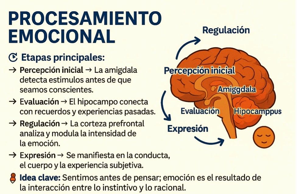 Ensenada - Cursos y Talleres para el Desarrollo Humano | #Procesamiento ...