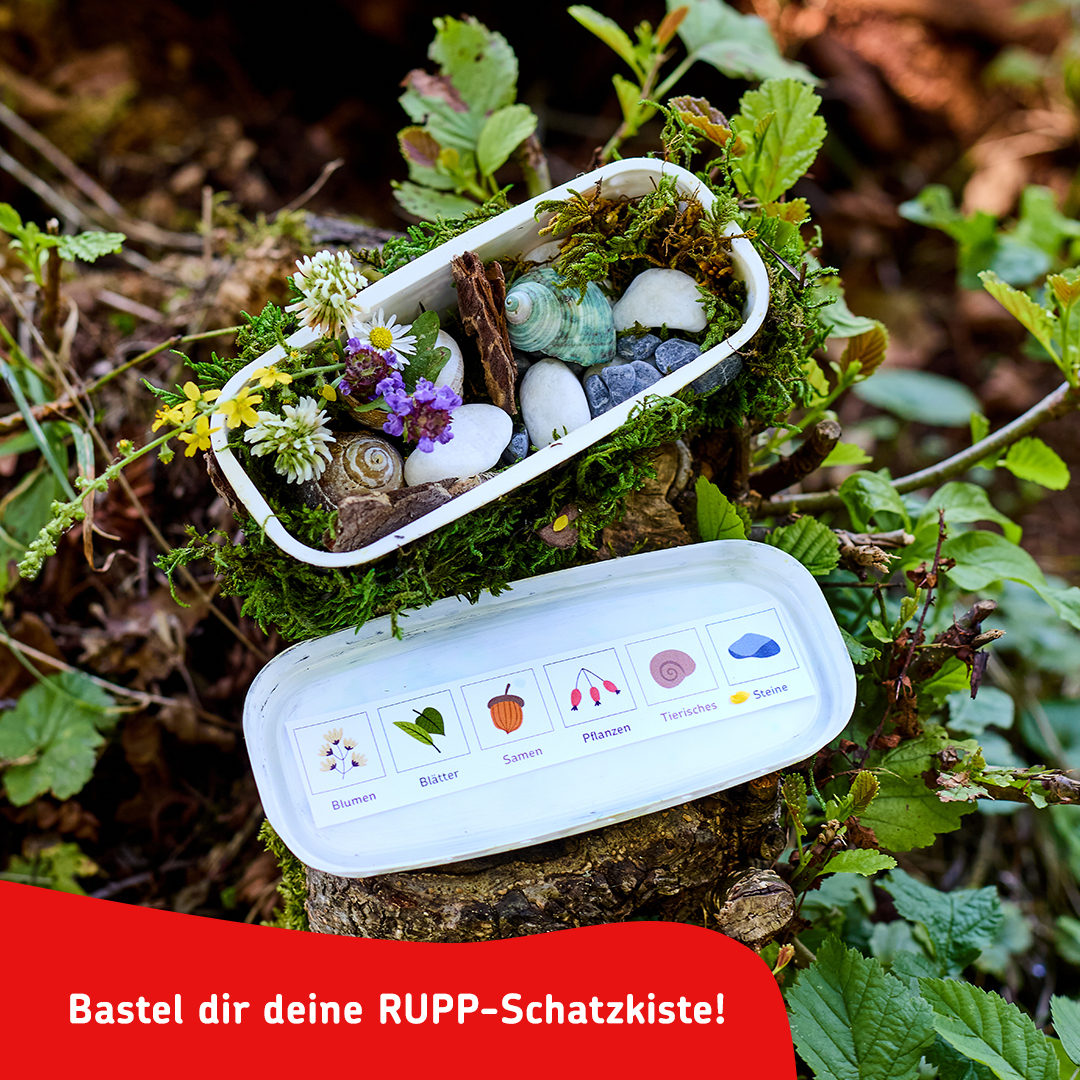 Privatkäserei Rupp | Hörbranz