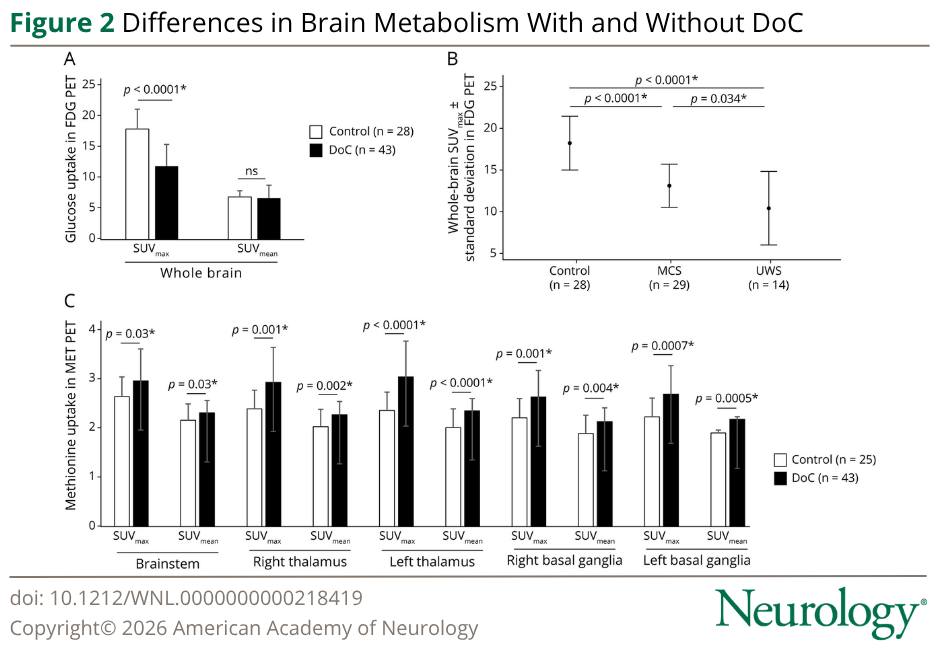 glutathione and concussion research This study examined cross-sectional longitudinal glucose and methionine uptake and associations with improvement of consciousness after brain injury. Learn more: https://hubs.la/Q04vKWJq0 Size:30 Caps Cosmetic Food Grade S-acetyl-l-glutathione Cognitive Health