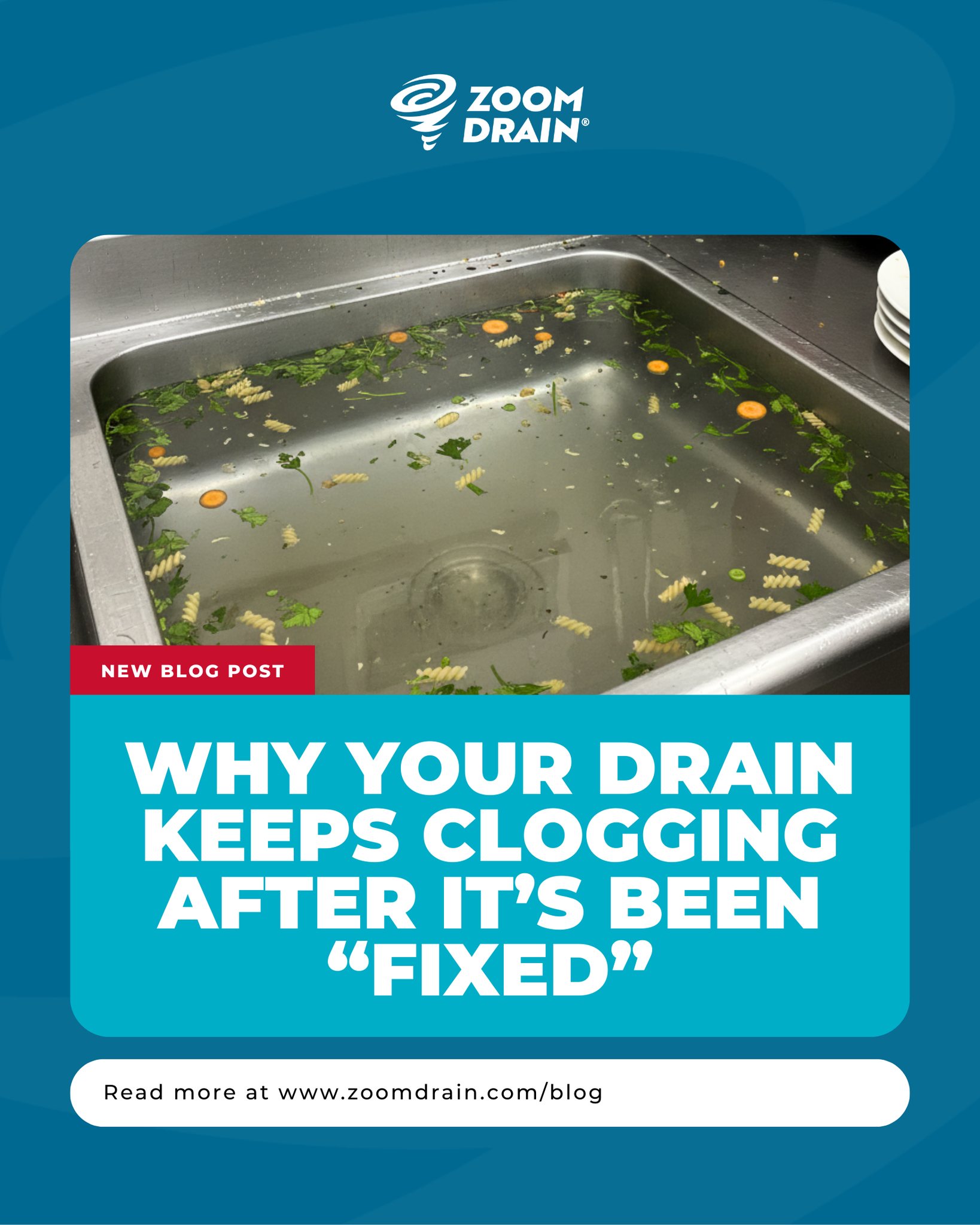 Zoom - Most drain problems don’t show up overnight, they build up ...