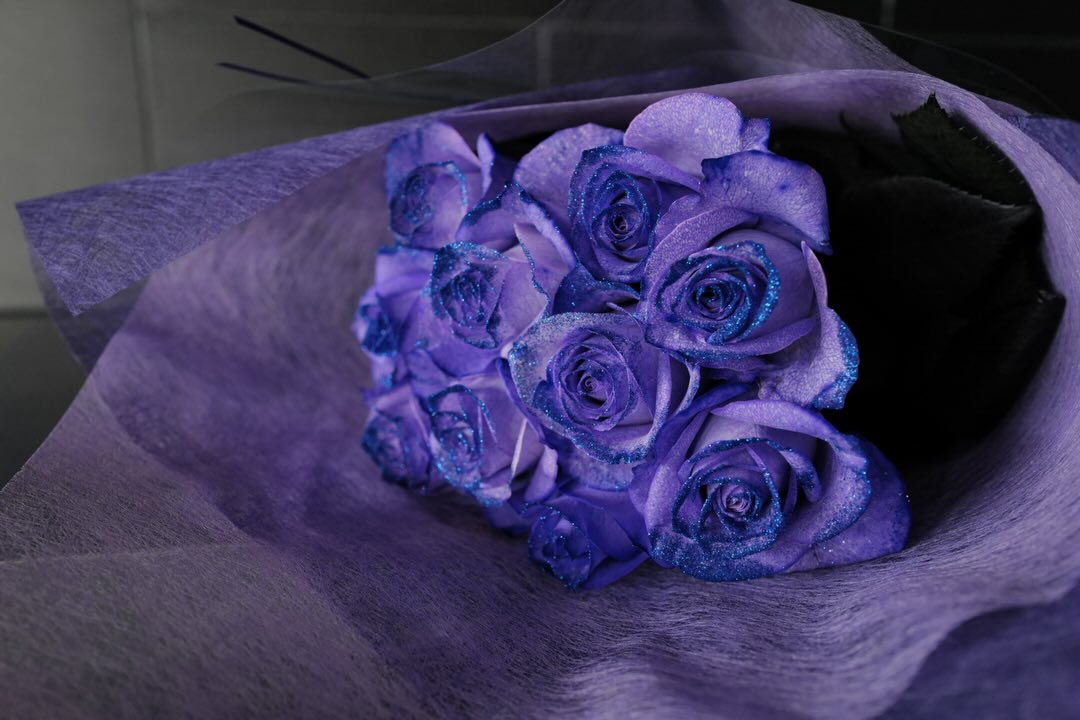 ローズショップ - 青いバラ 水色のバラ 白バラ ROSE SHOP オリジナル