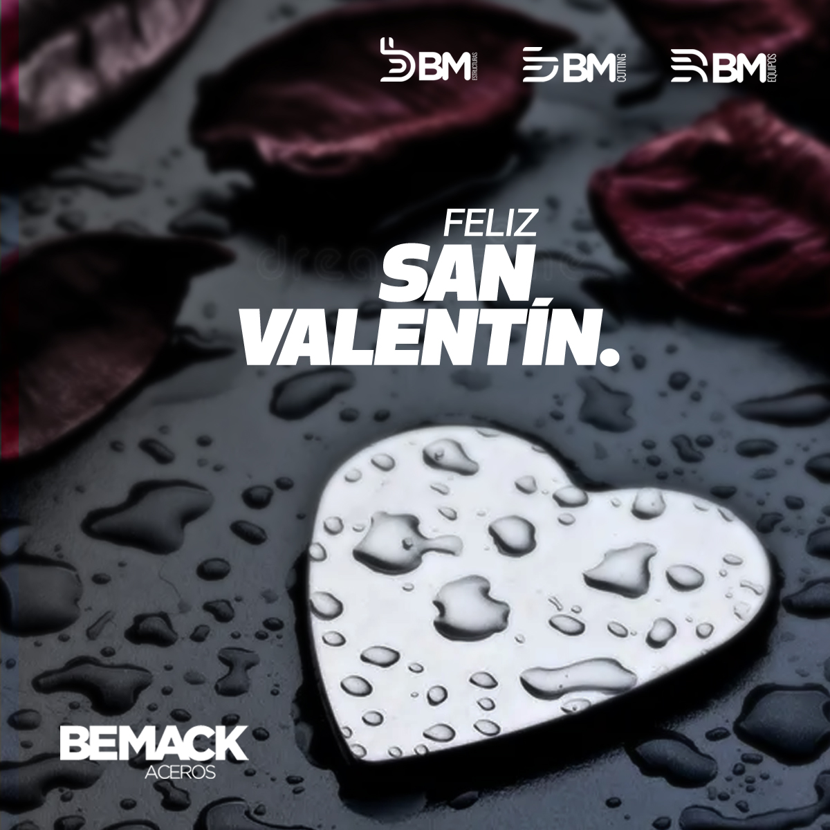 Aceros Bemack | San Nicolás de los Garza
