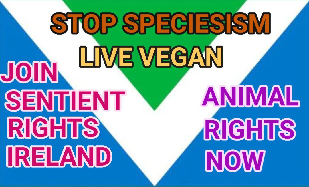 Sentient Rights Ireland