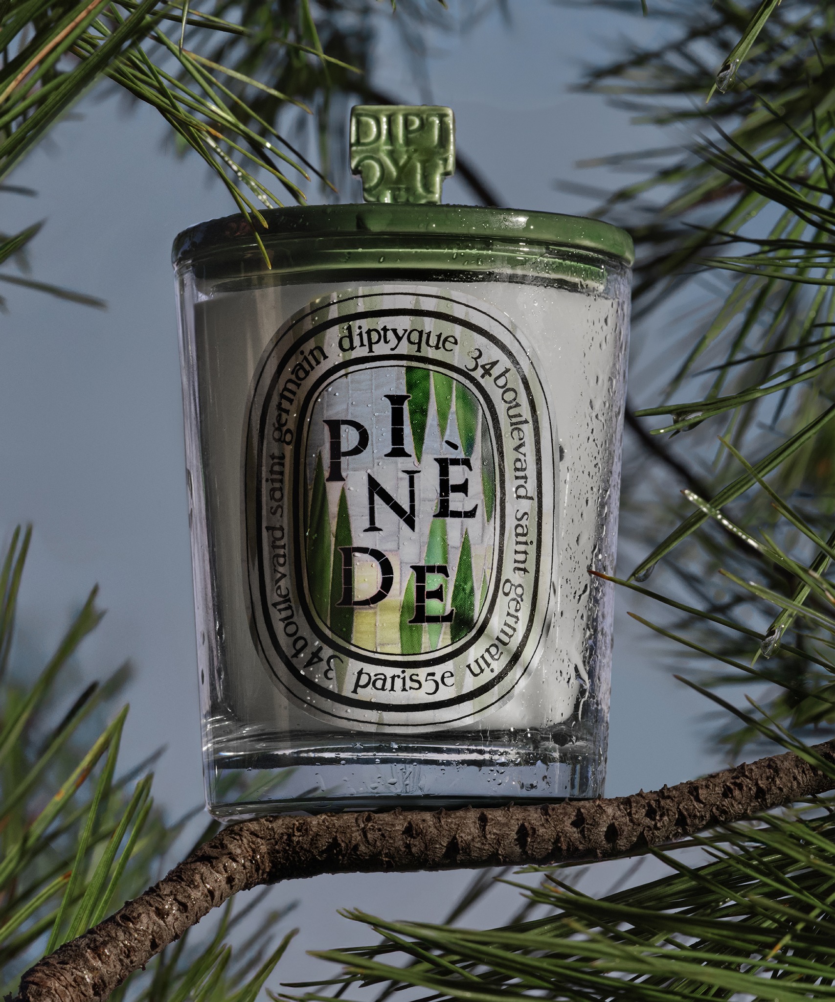 DIPTYQUE Reminiscent of the pine grove, the limited-edition Pinède