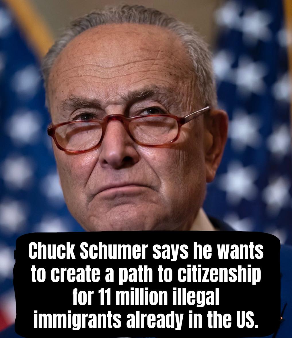 David - Chuck Schumer says he wants to create a path to citizenship for ...