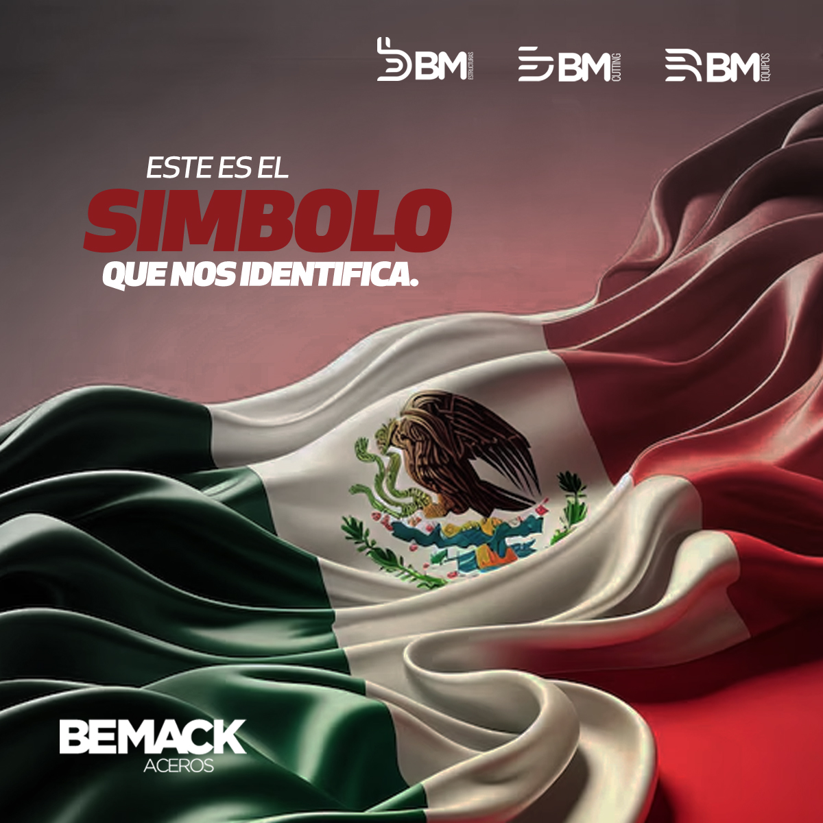Aceros - 🇲🇽 ¡Honor, Fuerza y Orgullo! 🇲🇽 Hoy celebramos el símbolo que ...
