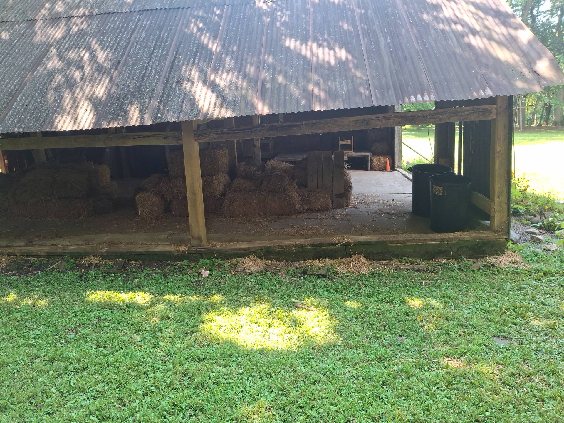 Nehemiah Ranch Inc. | Avon IN