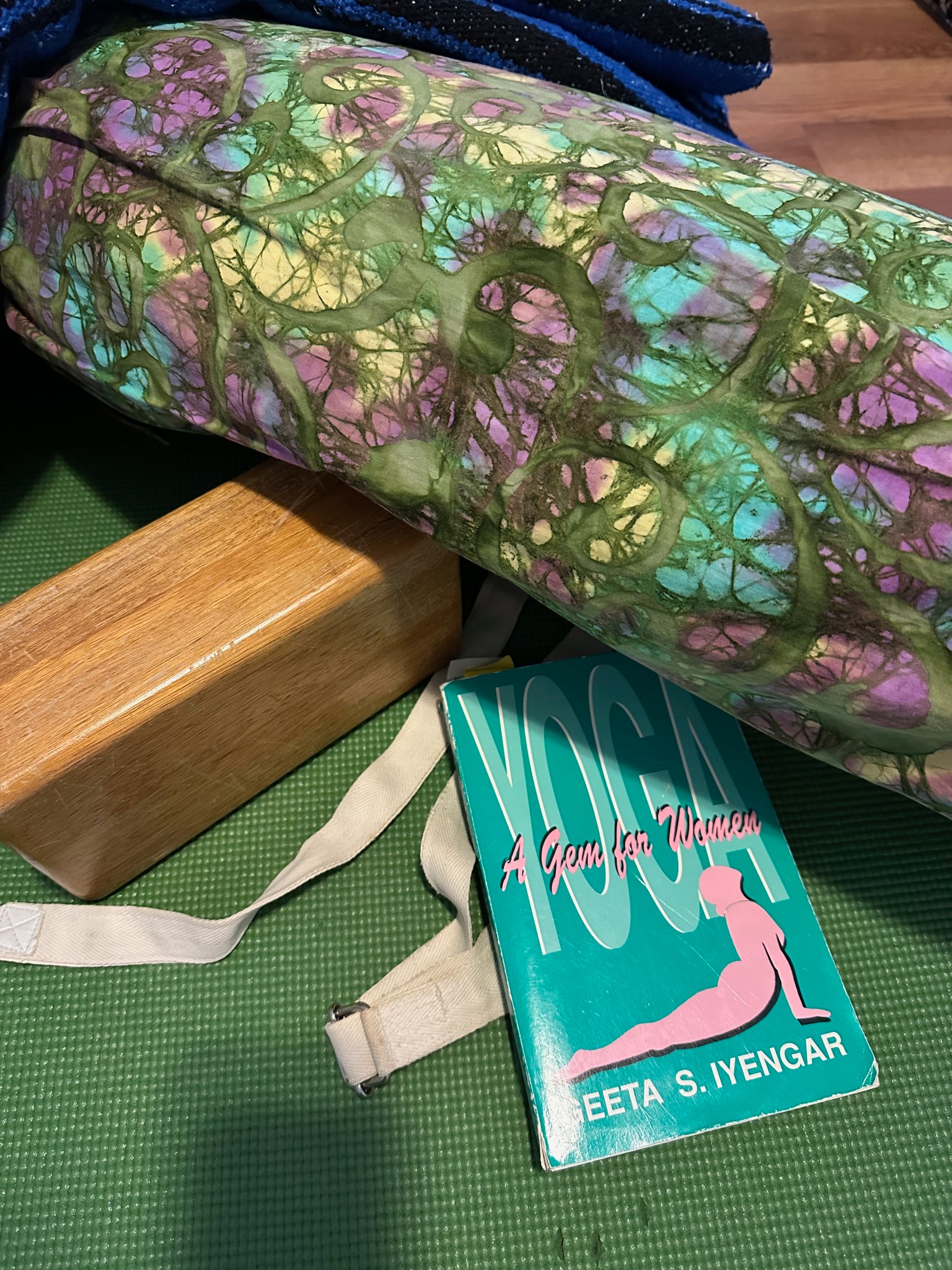 Houston Iyengar Yoga Studio | Houston TX