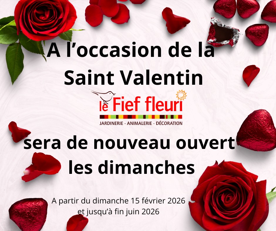 Le - 💓SAINT VALENTIN💓 A l'occasion de la Saint Valentin, nous vous ...