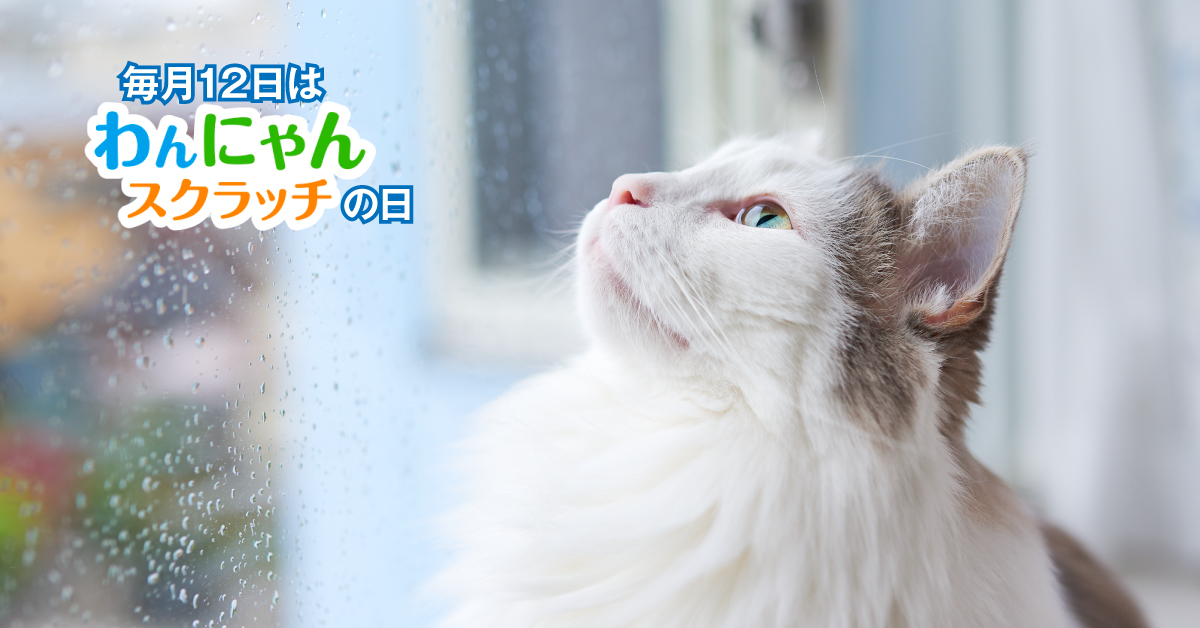 宝くじ - ／ ジャンボ宝くじCMの 5人きょうだいを紹介！ ＼ 声が大きい 