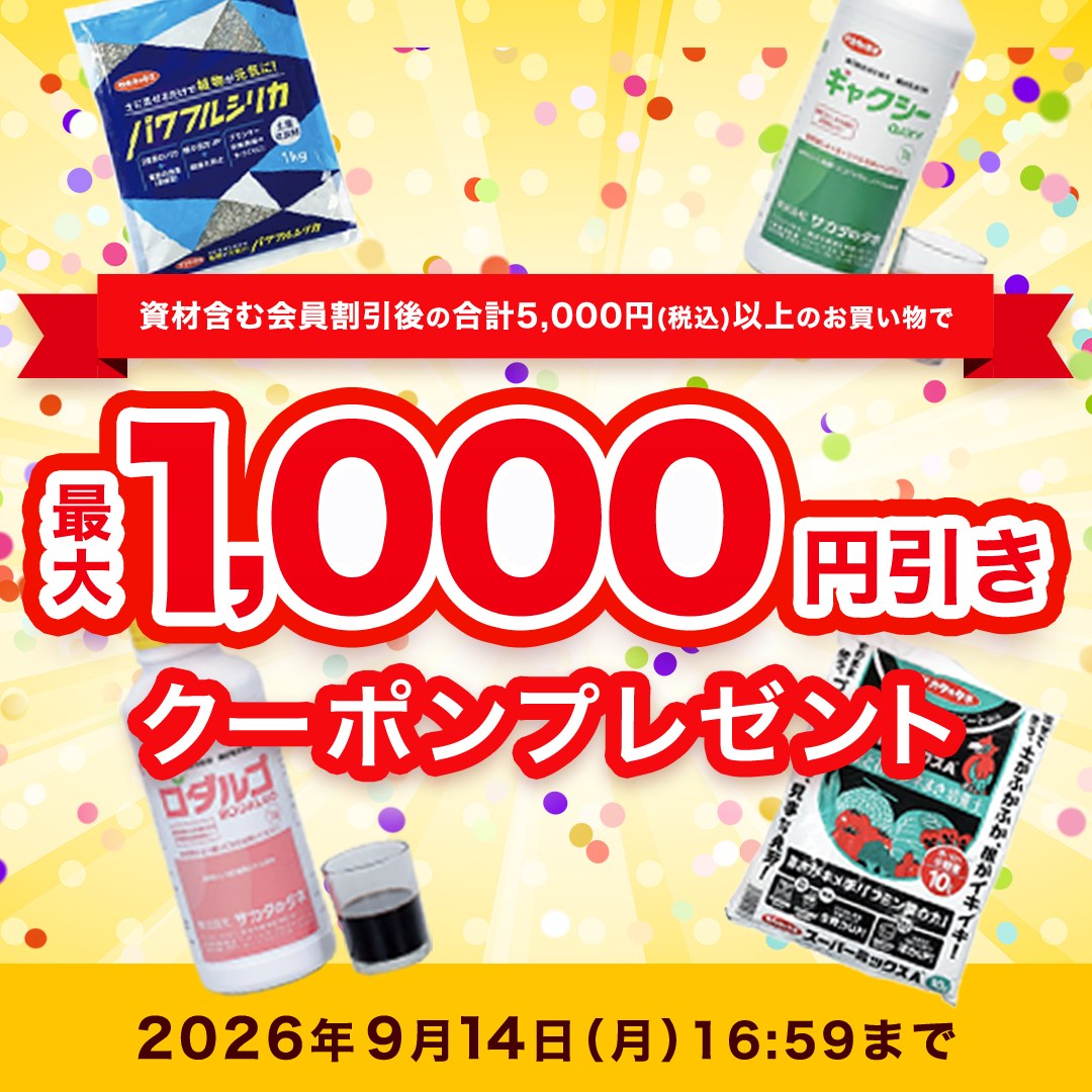 おすすめの春植え野菜【第二弾】／ 第一弾に引き続き、新商品の中から