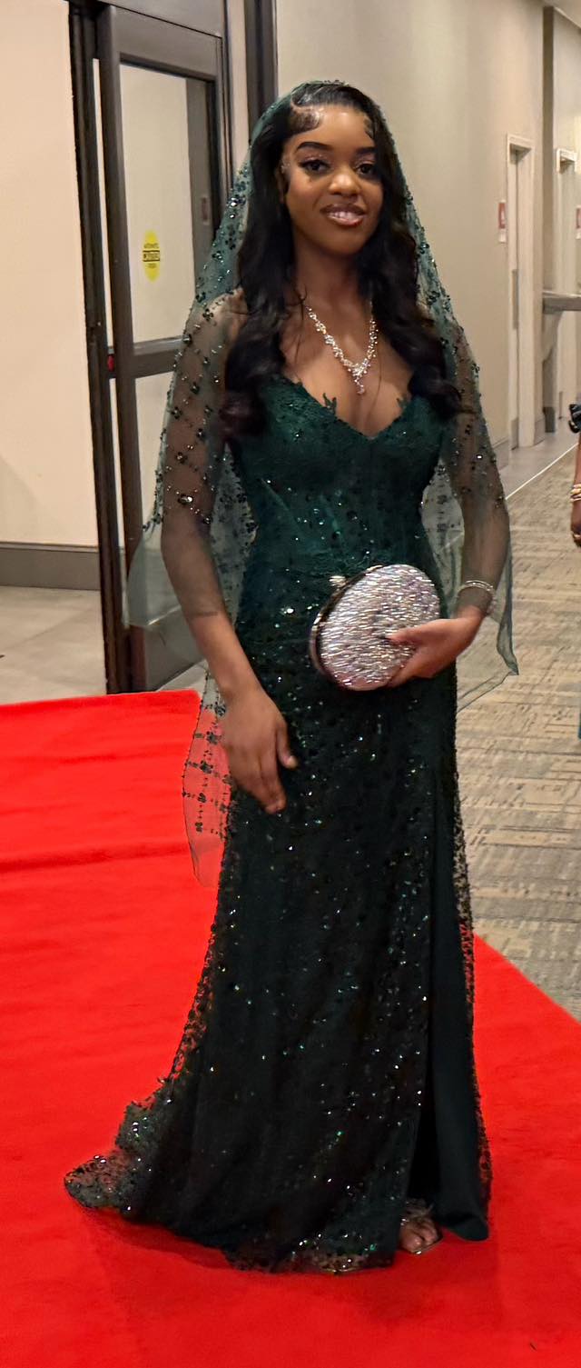 open lace back dress Prom Dresses, Evening Dress, Dance Dresses, Graduation School Party Dresses