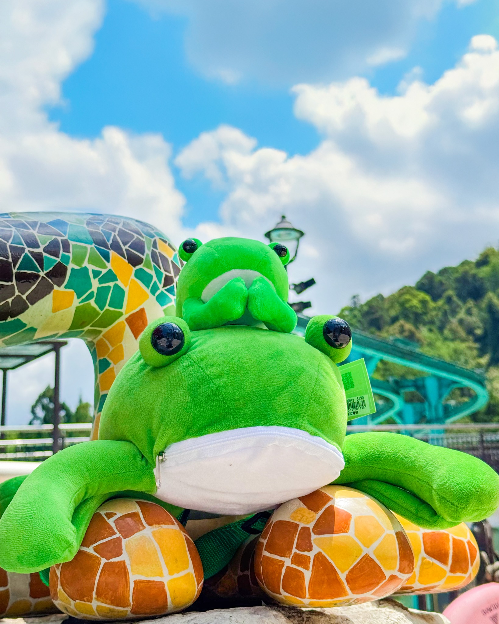 🐸蛙! 蛙!!蛙!!!🐸 日月潭九蛙清淤后探頭與大家見面後，九族其實也有蛙