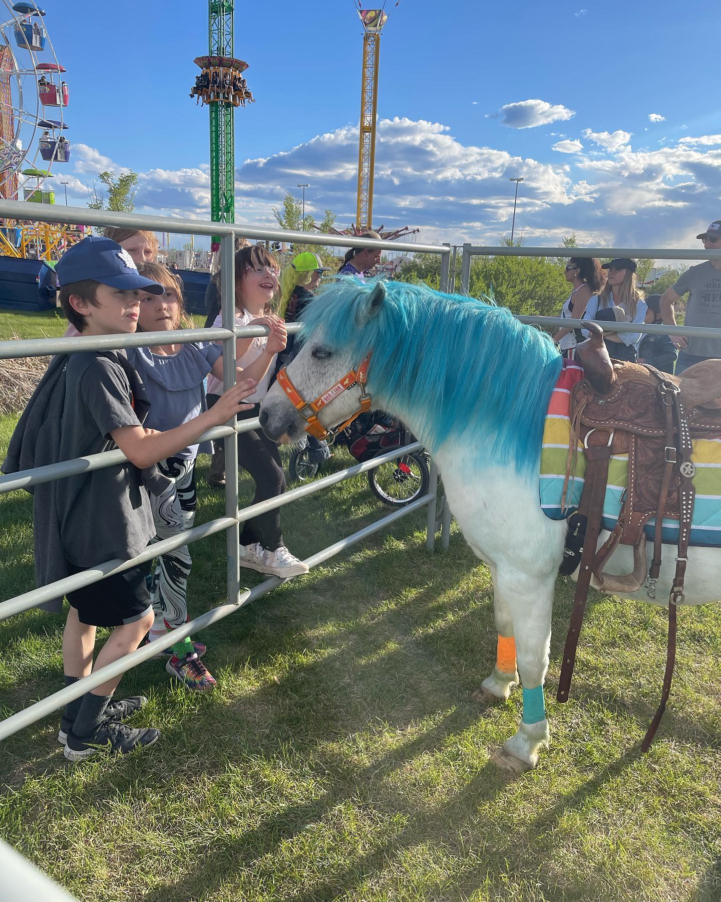 My Pony Party - At the rainmaker rodeo!!! PePe the oilers...