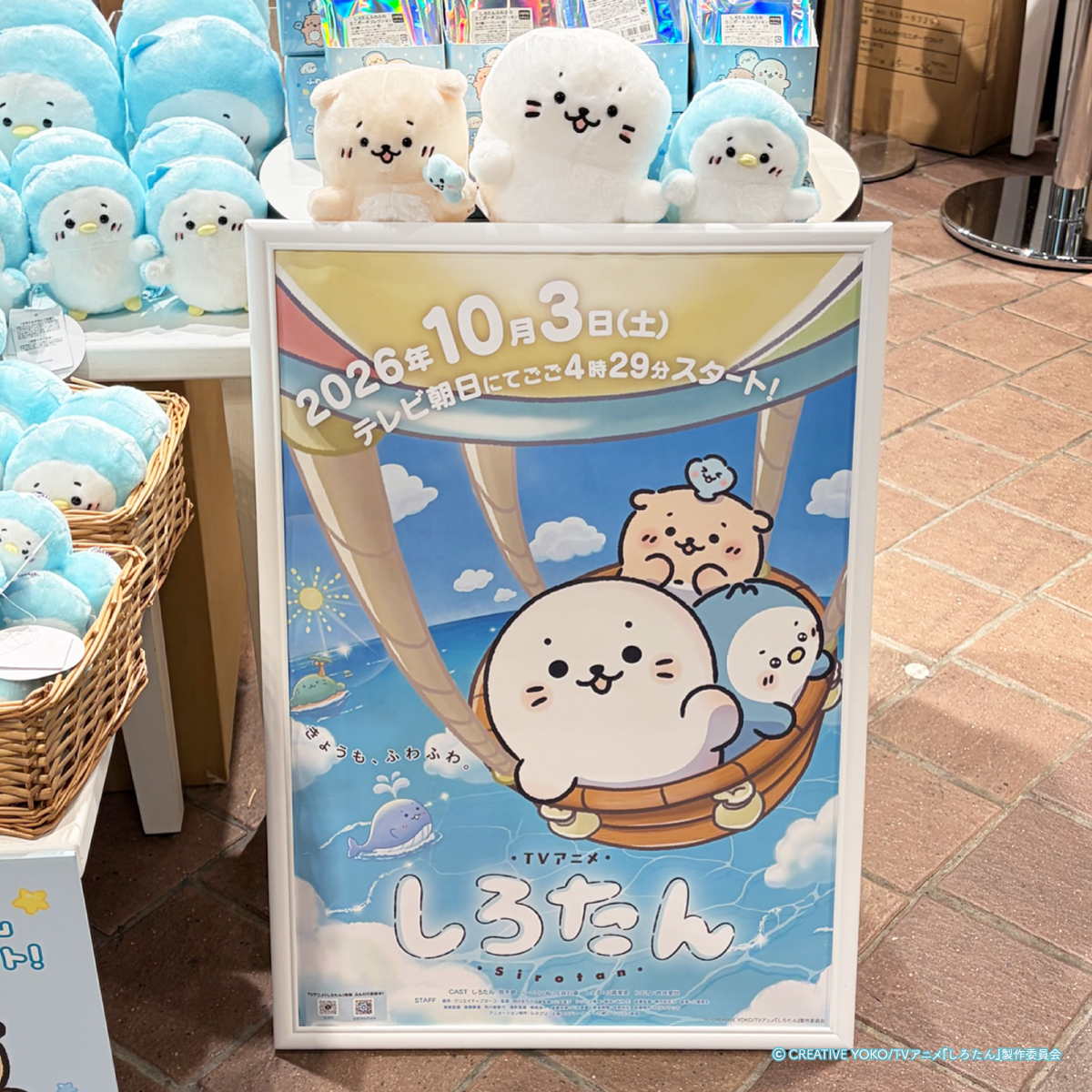 🌙本日 実店舗全店でスタート🌙 しろたん ひんやりホラーナイトくじ