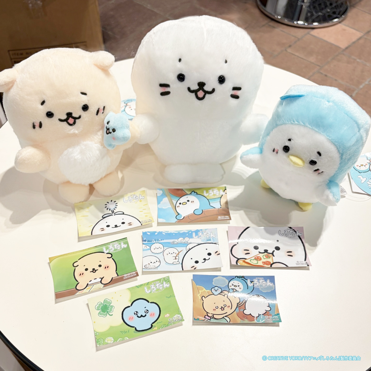 🌙本日 実店舗全店でスタート🌙 しろたん ひんやりホラーナイトくじ