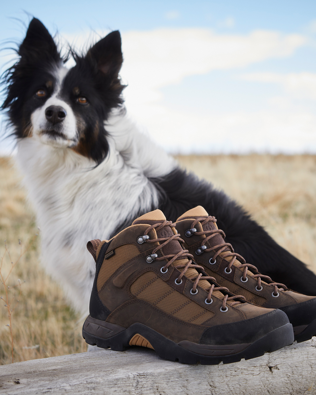 Danner - Danner 添加了1 张新照片。