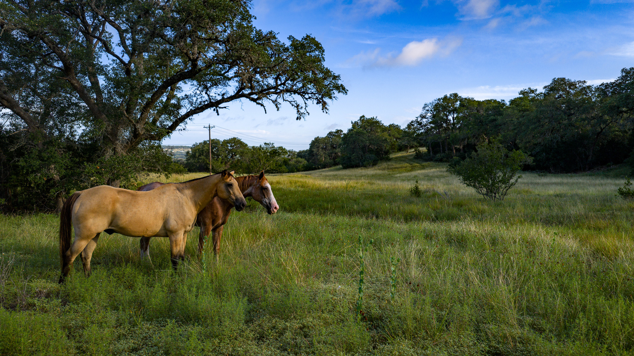 Texas - Sabinas Creek Ranch | 396± Acres Sabinas Creek Ranch spans 396± ...