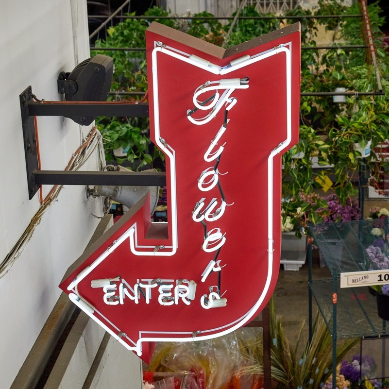 PRIME TIME FLOWERS with J Schwanke's Life in Bloom on Create TV