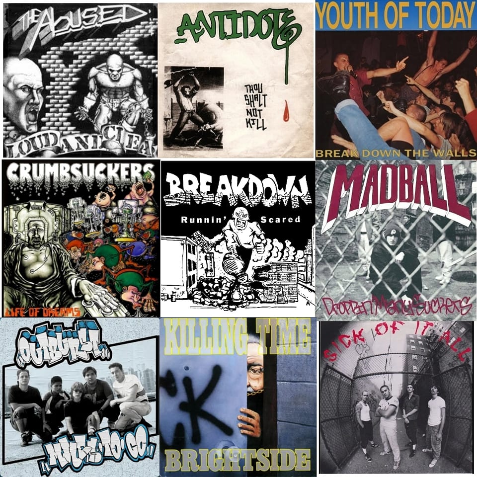 New York Hardcore Chronicles Volumes 1 and 2 available now