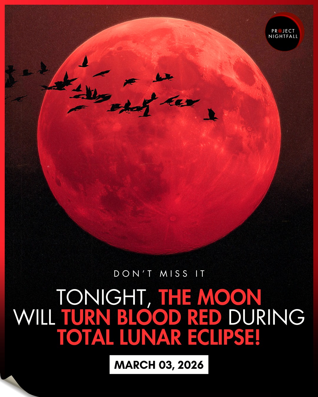 BREAKING: Tonight, the Moon turns... - Project Nightfall | Facebook