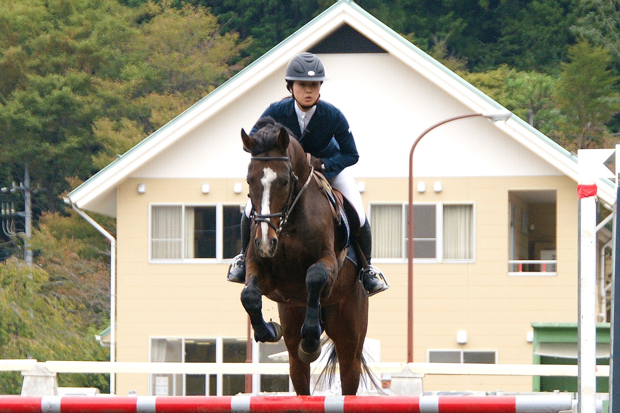 津久井馬術競技場 Publications Facebook