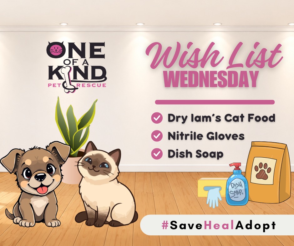 It's Wish List Wednesday, and we have an urgent need for cat food