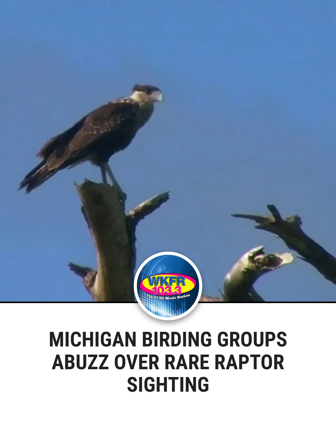 103.3 - Raptor Makes a Wrong Turn, Ends Up in Michigan (link in ...